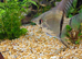 Beautiful Silver Adult Male Angelfish