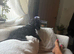 7 month old doxiepoo