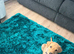 Labrador Retriever puppies