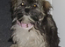 Beauriful lucy
