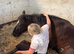 Stunning 15.1 hh Black mare