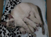 Pure sparkling blue eye siamese kittens
