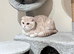 Scottish fold kittens