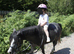 11.2hh 4yr old lead rein pony/happy hacker