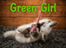 Beautiful Ragdoll kittens looking for new homes