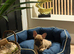 12 week old female frenchie