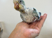 Silly Tame Hand-Reared Blue Quaker Parrot For Sale