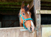 Beautiful bay mare