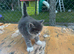 Boy available
