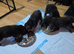 German shepherd puppies