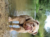 Lilac merle English bulldog for stud