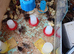 5 day old cortinex quail chicks for sale