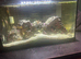 New wave 48L marine tank and contents