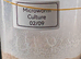 Microworm live cultures -high protein fish food