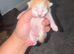 6 gorgeous kittens