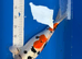 Koi Rescue and Rehoming