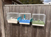 Brand new Goldfinch & mule cages