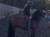 Project pony Jimmy