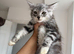 One Kittne