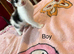 Mixed breed kittens
