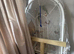 COMPLETE INDIAN RINGNECK BREEDING SETUP – CAGES, FOOD, ACCESSORIES + BREEDING PAIR AVAILABLE