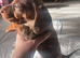 REDUCED***4 stunning sizzling sausage boys