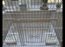Beautiful White Bird Cage