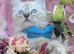 Maine coon ragdoll kittens full of fun ready now