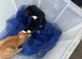 Three Kittens