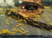 Yellow Shrimp - Mixed grade &pound;1.00 each