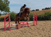 Super smart fun cob