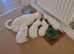 2 beautiful white well loved kittens