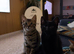 Beautiful Bengal kittens - ready now - only 2 left