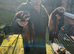 Polecats and ferrets for sale