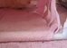 2 female guineapigs 6 months old