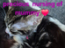 Well loved beautiful babies