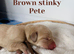 Yellow/dark yellow Labradors