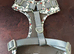 Toy Story harness size Small brand new