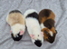 BABY TEDDY BOARS