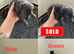 Beautiful Cane Corsos for sale.