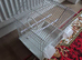Bird cages
