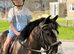 13hh cob