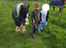 12. 1 Mini Cob Mare