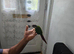 green cheeked parakeet