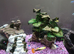 70 litre tank with stand