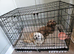 Large crate for sale