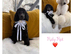 Standard poodle pups