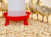 OFF HEAT GOSLINGS