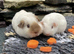 Beautiful bonded boys.