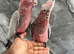 Baby Handreared Super Tame Cuddly Galah Cockatoo Parrot,25